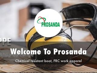 Prosanda Presentation.pdf