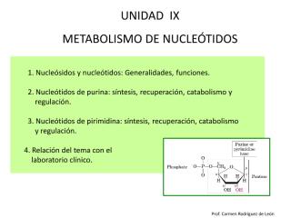 met de nucleotidos c.pdf