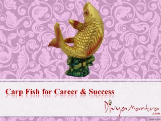 Carp Fish for Career & Success.ppt